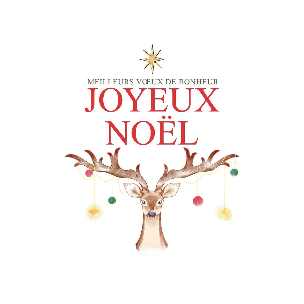 X-mas Mug - Faites un veou