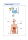 Savoir Plus - Science - 4e - 1s.