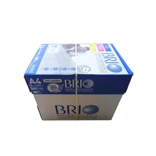 Brio Photocopy And Print Paper Pack - A4 80 G - 5 packages